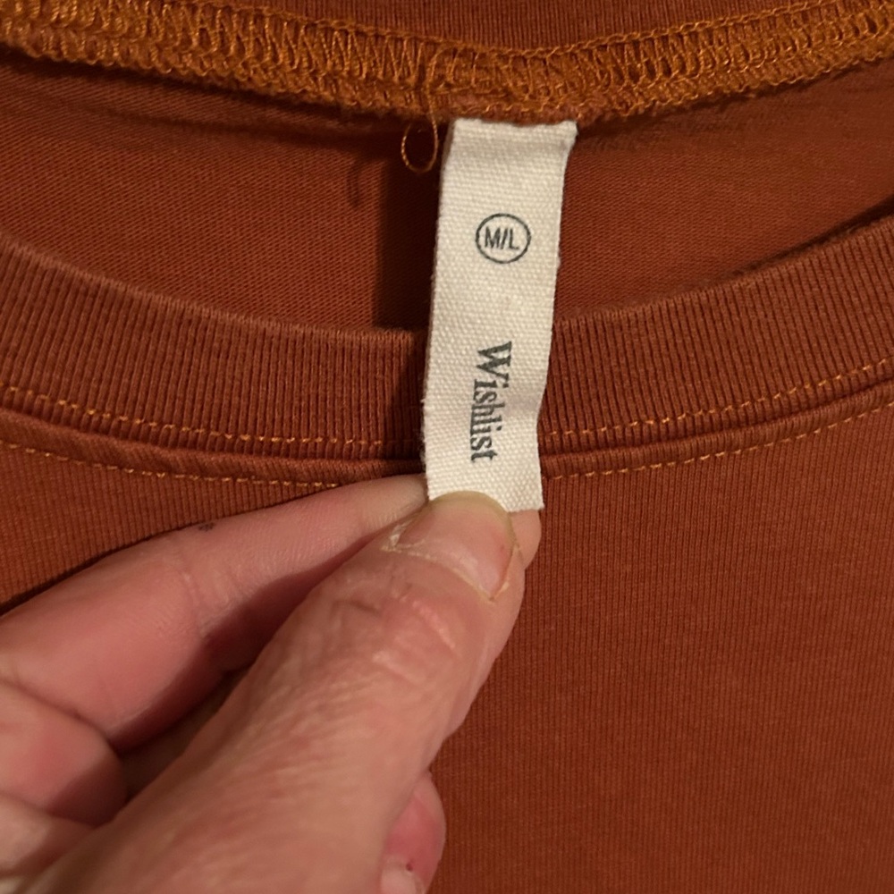 Wishlist Terracotta Top
